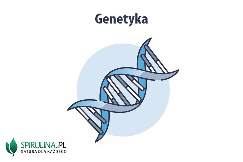 Gen w biologii: prosta definicja, funkcje i jego kluczowa rola w dziedziczeniu