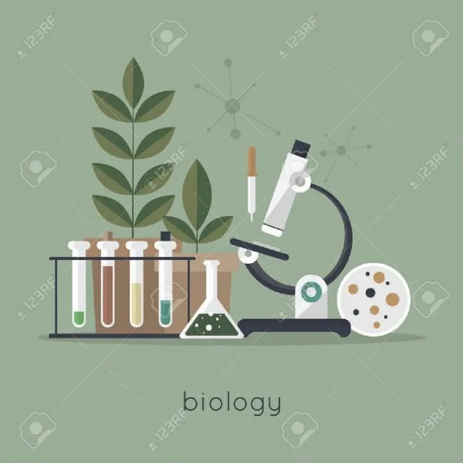 Ile zapłacisz za korepetycje z biologii? Praktyczne porady, jak nie przepłacić za lekcje
