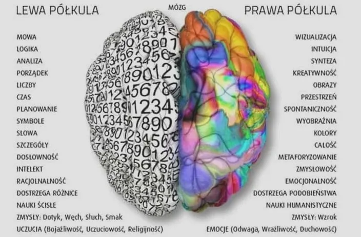 Jak wspierać leworęczne dziecko w szkole: skuteczne metody na codzienne wyzwania