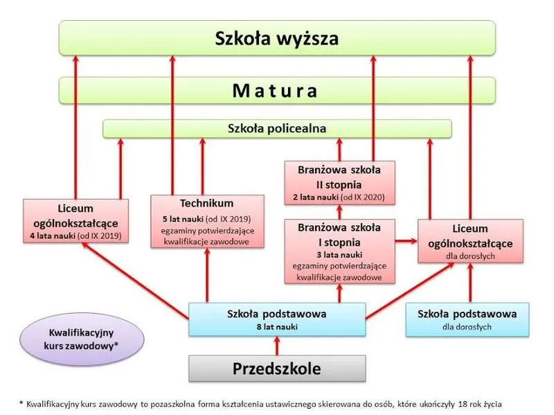 Jak wygląda system edukacji w Polsce: Przewodnik krok po kroku dla dzieci w szkole
