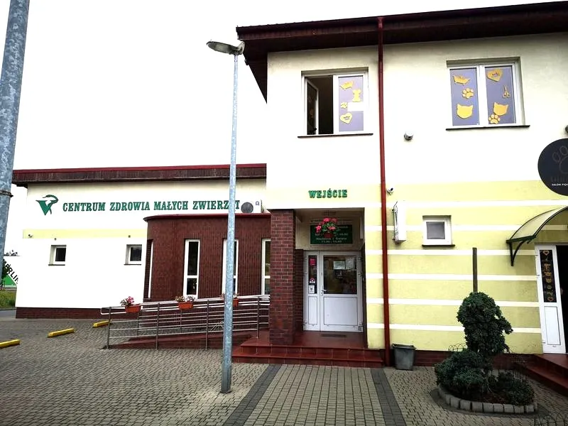 Niezawodna pomoc dla pupili: weterynarz 24h w Gorzowie Wielkopolskim