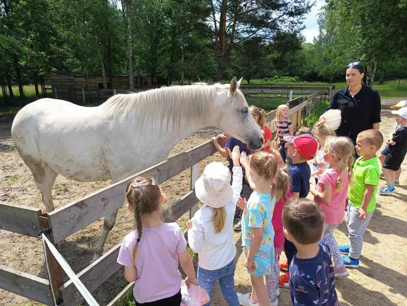 Odkryj Wieś Co Zagroda: Inspirujące Warsztaty Edukacyjne Dla Dzieci