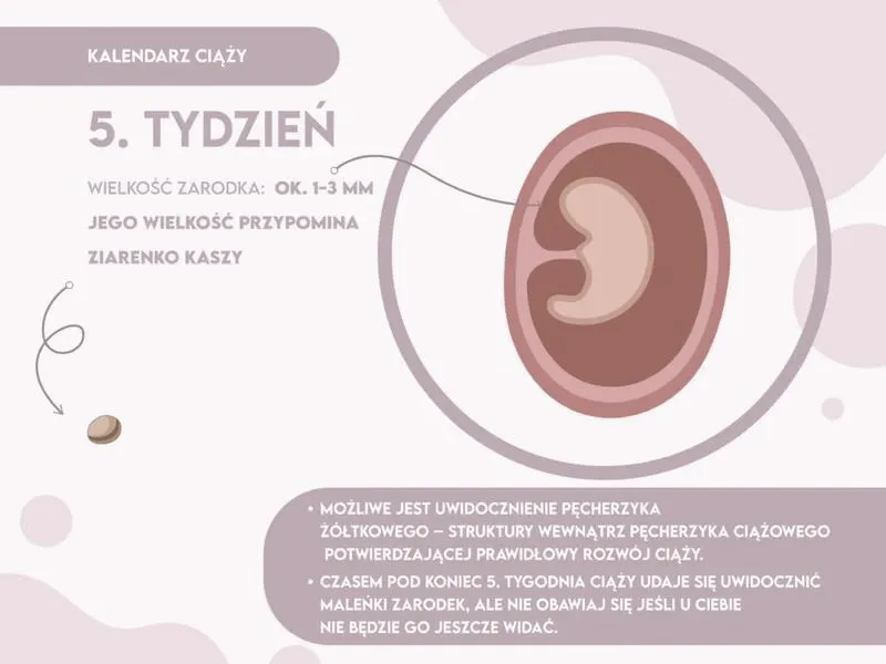 Skok rozwojowy w 5. tygodniu - co powinieneś wiedzieć o zmianach u niemowlaka?