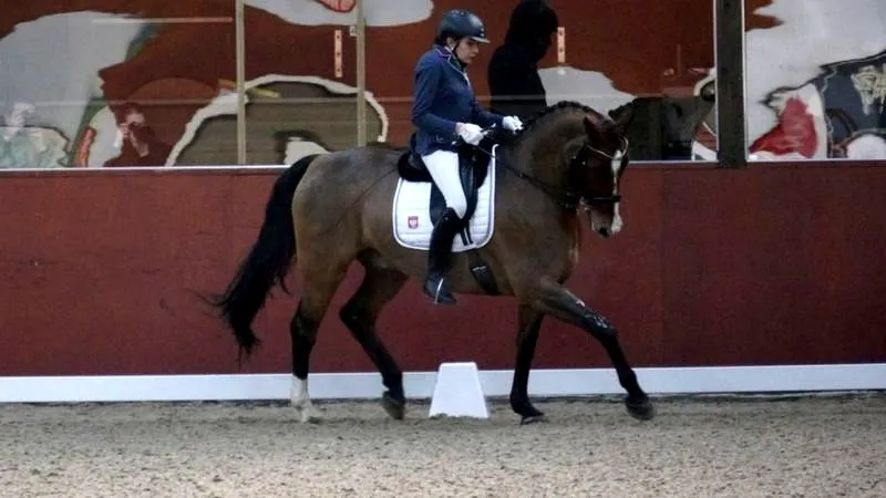 Skuteczne metody i tajniki nauczania jeździectwa, które warto poznać