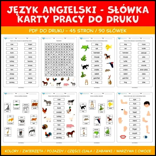 Skuteczne metody nauki słówek: jak unikać najczęstszych błędów?