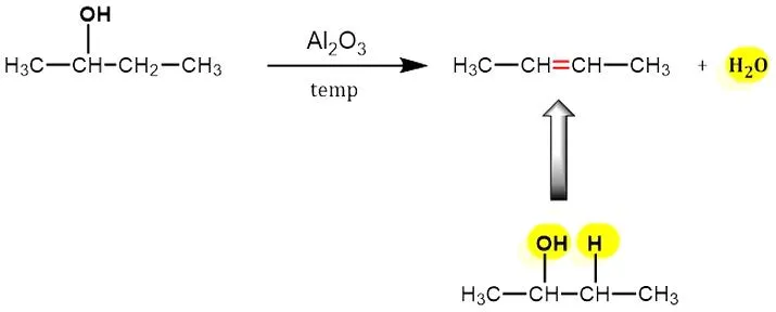 Chemiczna budowa alkoholi