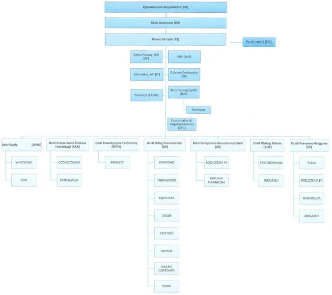 Co-managerzy w zarządzaniu