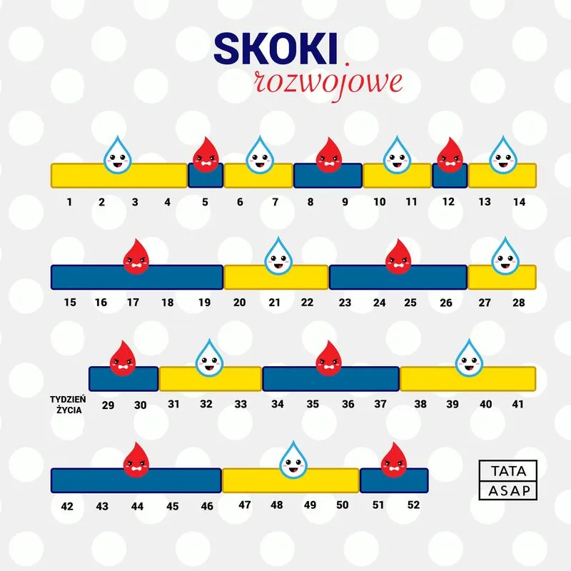 Etapy skoku rozwojowego