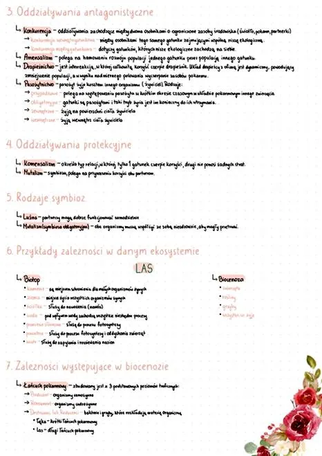 Konkurencja w biologii