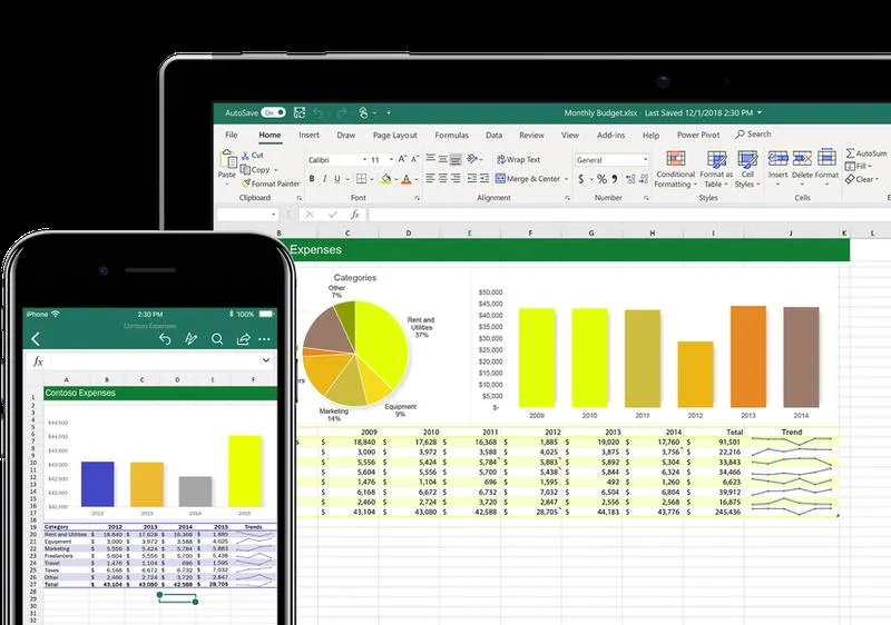 Microsoft Excel