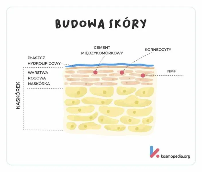 Mikrobiom skóry