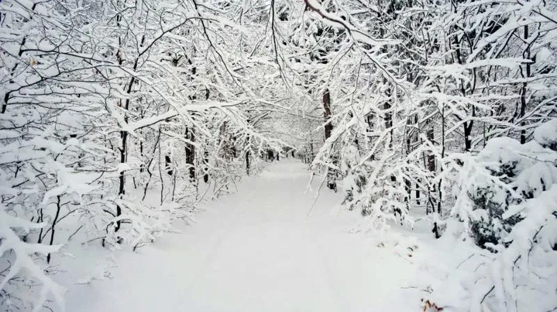Powstawanie śniegu