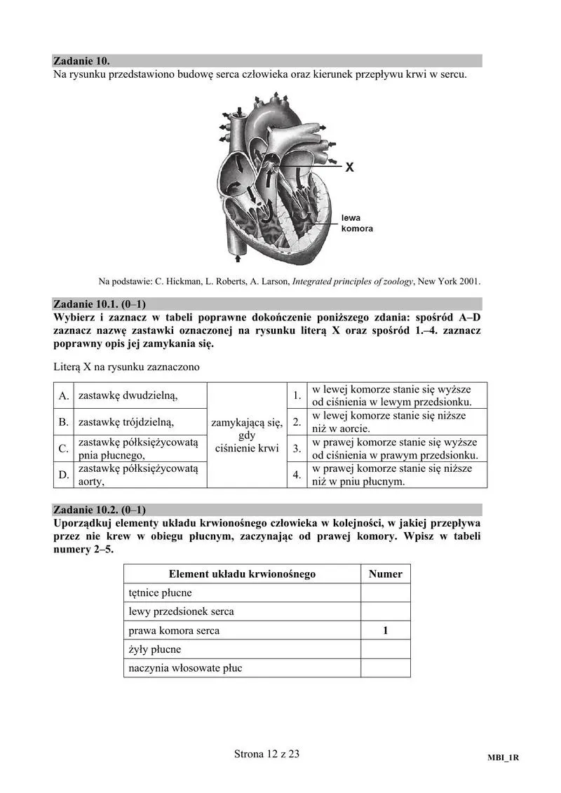 Przygotowania do matury z biologii