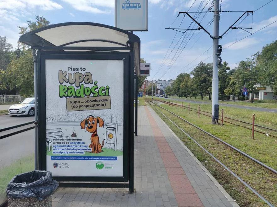 Rozwijanie koordynacji ruchowej