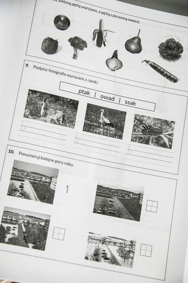 Zwolnienie lub przełożenie sprawdzianu